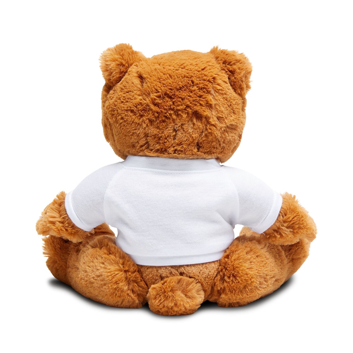 A Little Sunshine for Your Day – Plush Teddy Bear with T-Shirt